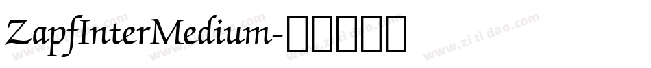 ZapfInterMedium字体转换