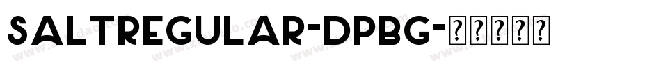 SaltRegular-dpBg字体转换