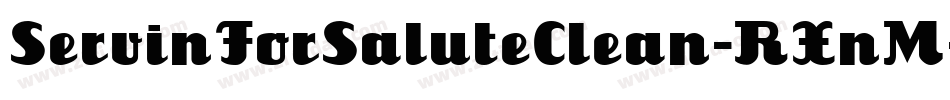 ServinForSaluteClean-RXnM字体转换