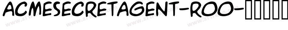 AcmeSecretAgent-rOO字体转换