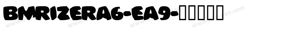 BmRizerA6-EA9字体转换