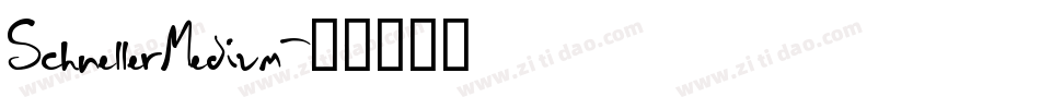 SchnellerMedium字体转换