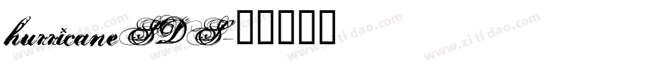 hurricaneSDS字体转换