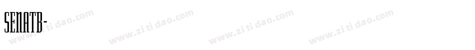 SENATB字体转换