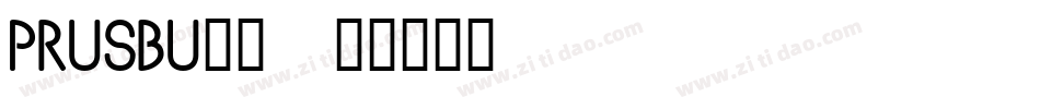 PRUSBU__字体转换