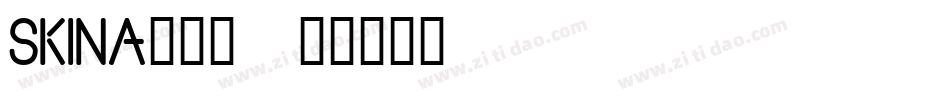 SKINA___字体转换