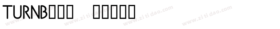 TURNB___字体转换