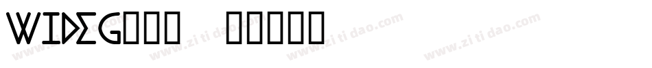 Wideg___字体转换