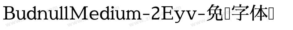 BudnullMedium-2Eyv字体转换