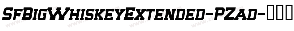 SfBigWhiskeyExtended-PZad字体转换 SfBigWhiskeyExtended-PZad字体转换