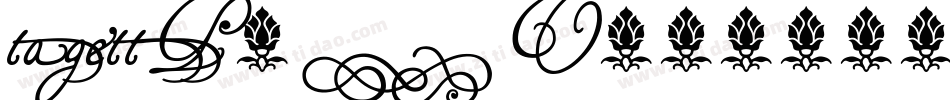 tagettP2_U字体转换