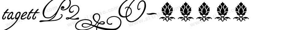 tagettP2_U字体转换