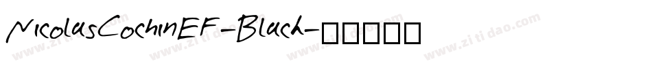 NicolasCochinEF-Black字体转换