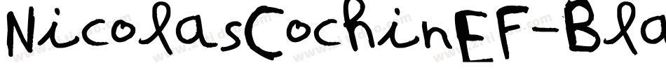 NicolasCochinEF-Black字体转换
