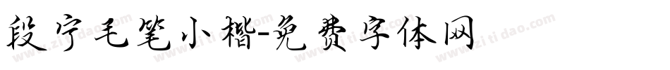 段宁毛笔小楷字体转换