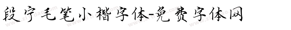 段宁毛笔小楷字体字体转换