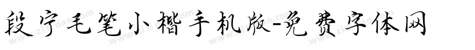 段宁毛笔小楷手机版字体转换