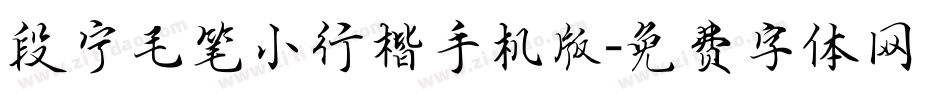 段宁毛笔小行楷手机版字体转换