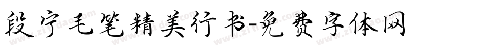 段宁毛笔精美行书字体转换