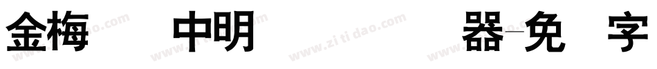金梅简体中明国际码转换器字体转换