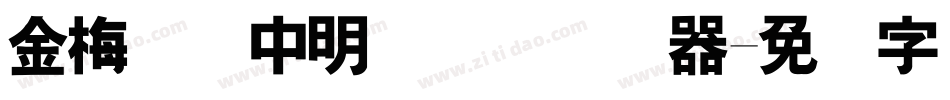 金梅简体中明国际码转换器字体转换