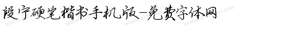 段宁硬笔楷书手机版字体转换