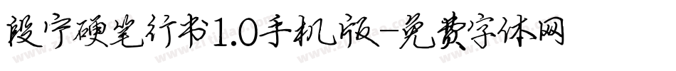 段宁硬笔行书1.0手机版字体转换
