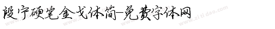 段宁硬笔金戈体简字体转换