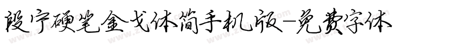 段宁硬笔金戈体简手机版字体转换