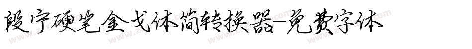 段宁硬笔金戈体简转换器字体转换