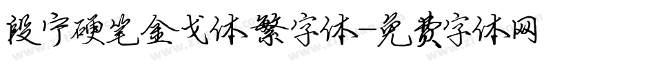 段宁硬笔金戈体繁字体字体转换
