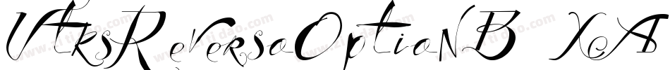 VtksReversoOptionB-XA1G字体转换