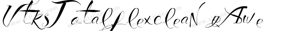 VtksTotalflexclean-yAwe字体转换