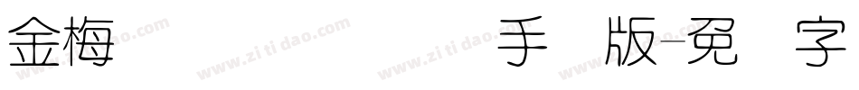 金梅简体细圆国际码手机版字体转换