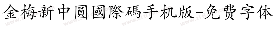 金梅新中圓國際碼手机版字体转换