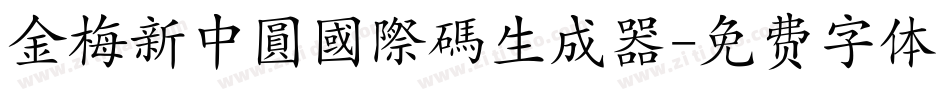 金梅新中圓國際碼生成器字体转换