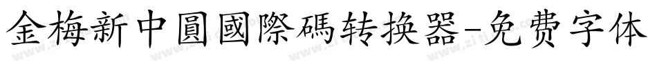 金梅新中圓國際碼转换器字体转换