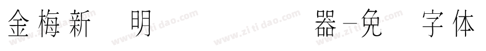 金梅新细明国际码转换器字体转换