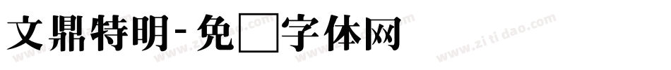 文鼎特明字体转换