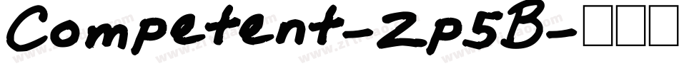 Competent-Zp5B字体转换