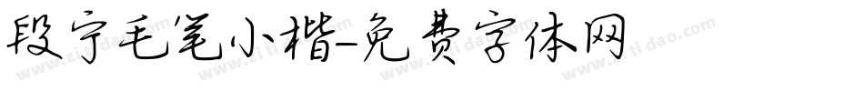 段宁毛笔小楷字体转换