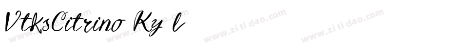 VtksCitrino-Ky7l字体转换
