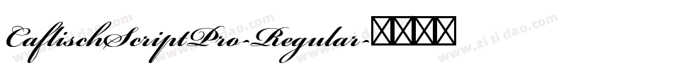 CaflischScriptPro-Regular字体转换