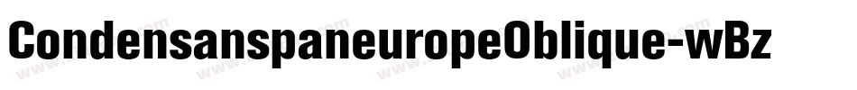 CondensanspaneuropeOblique-wBzP字体转换