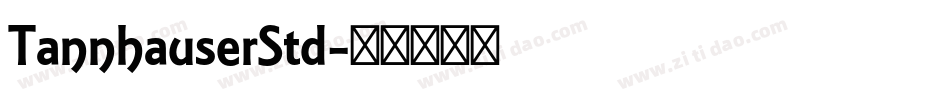 TannhauserStd字体转换