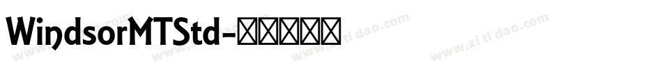 WindsorMTStd字体转换