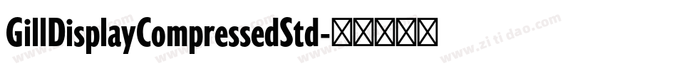 GillDisplayCompressedStd字体转换