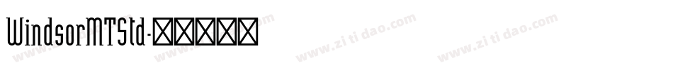 WindsorMTStd字体转换