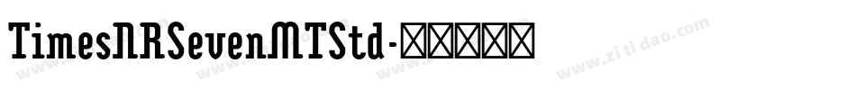TimesNRSevenMTStd字体转换