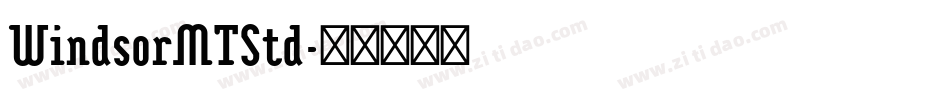 WindsorMTStd字体转换